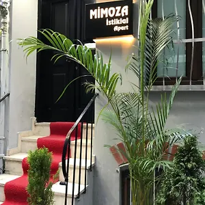 Mimoza Istiklal Istambul